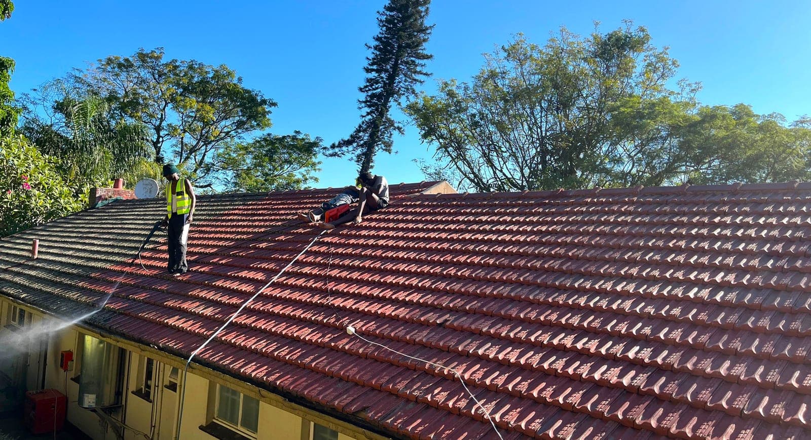 Roof maintenance and cleaning