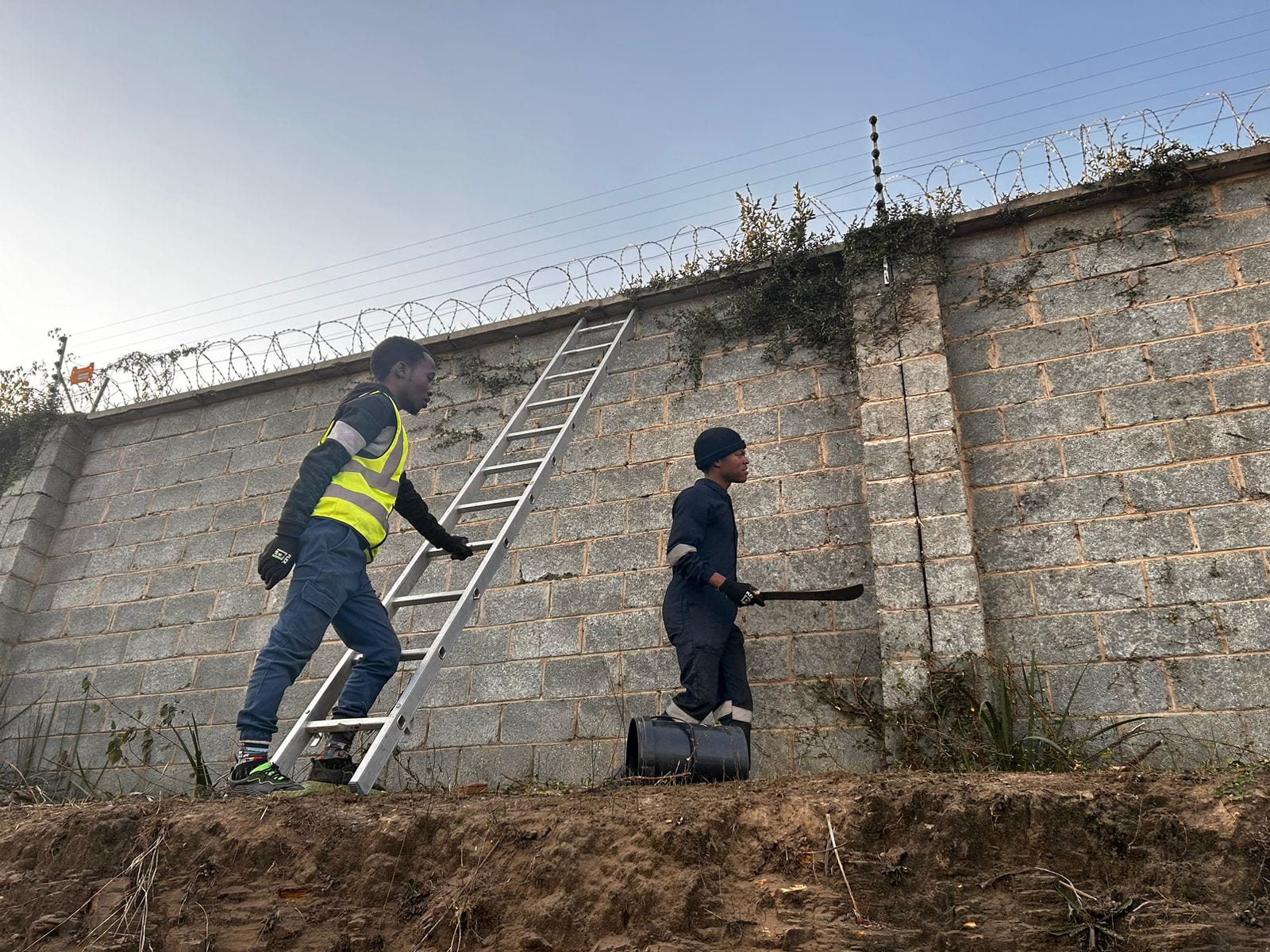 Site clearing, boundary wall