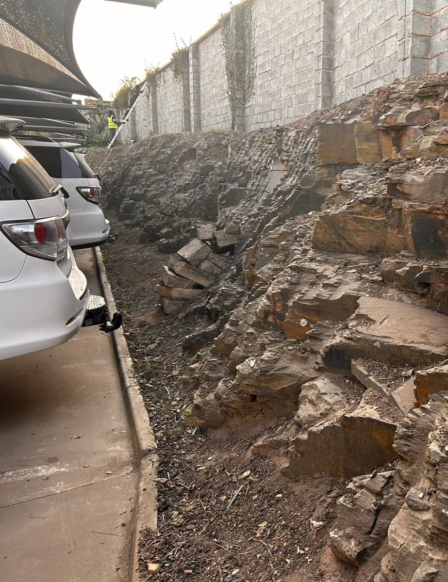 Pavement Excavation & Weed Removal